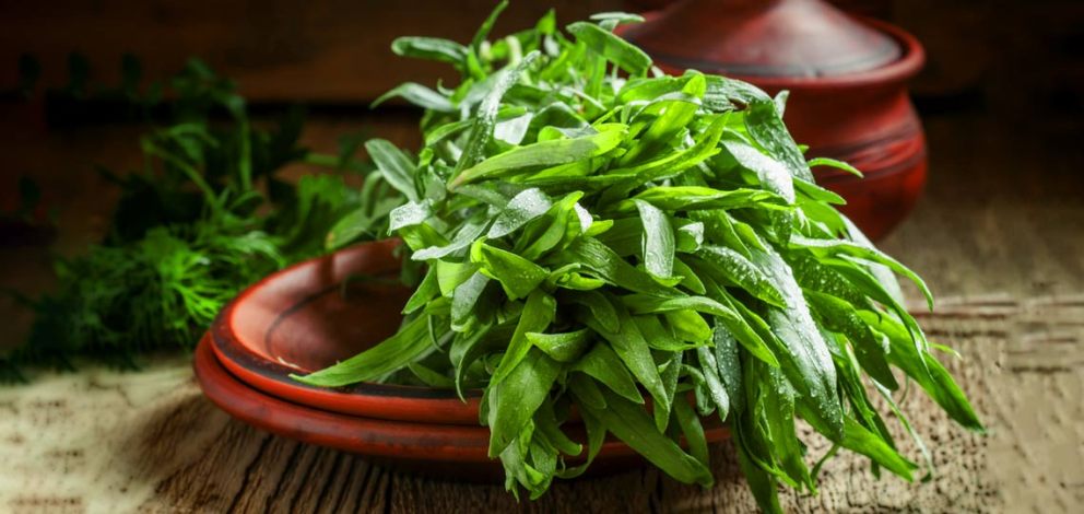 سبزی-ترخون-بی-رقیب-70-گرم-19hyper